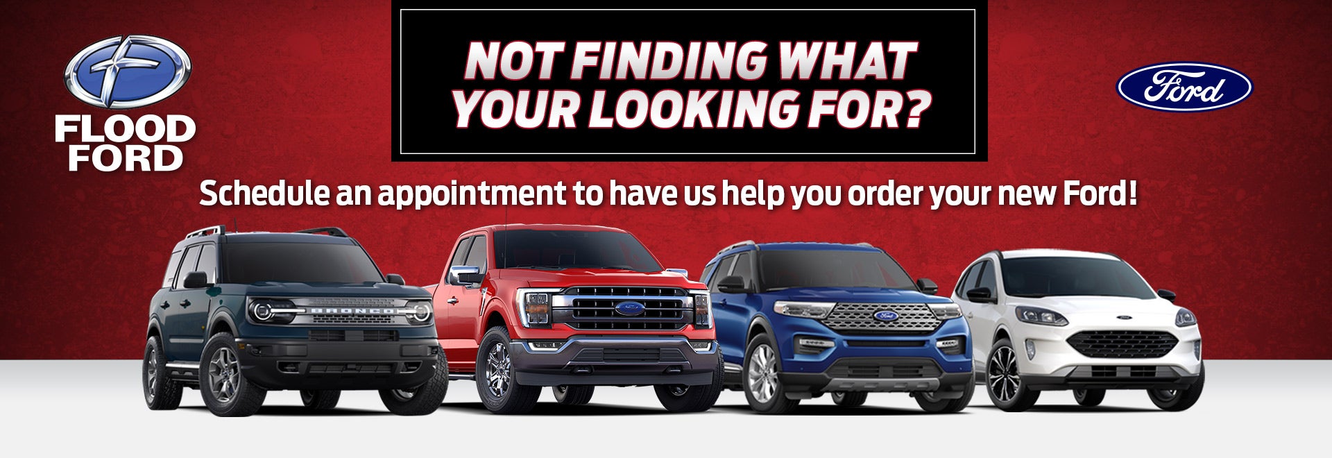 Find Your Next Car